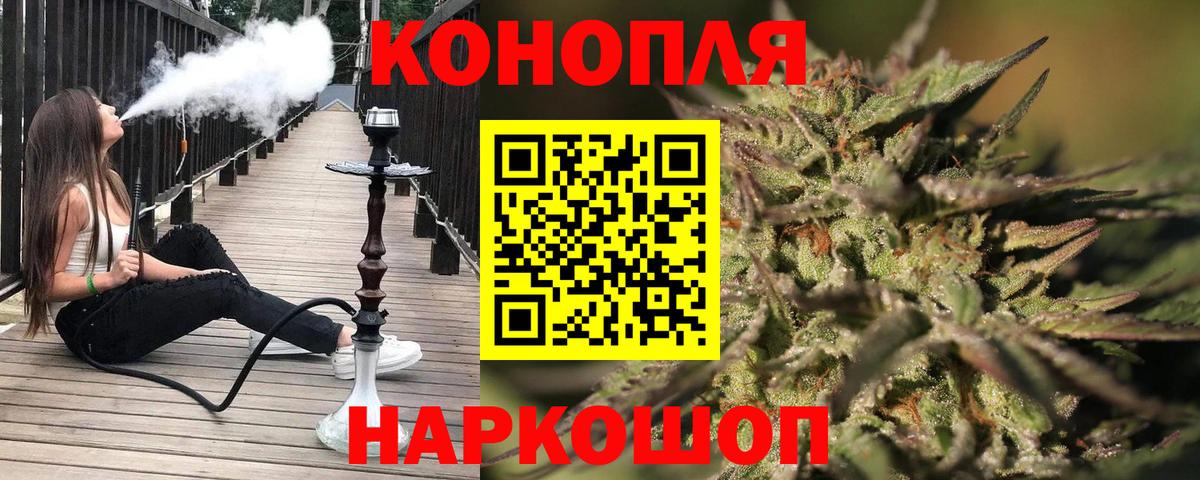 Каннабис сатива Богданович